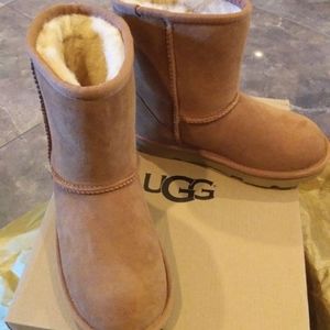 New Authentic Chestnut Kids Classic II  UGG boots